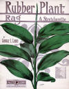 Rubber Plant Rag: A Stretcherette
                              Sheet Music Cover