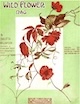 Wild Flower Rag sheet music cover